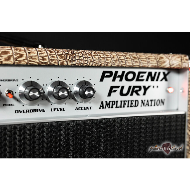 Amplified Nation Phoenix Fury 50W Head & 112 Cab – Bronze Croc