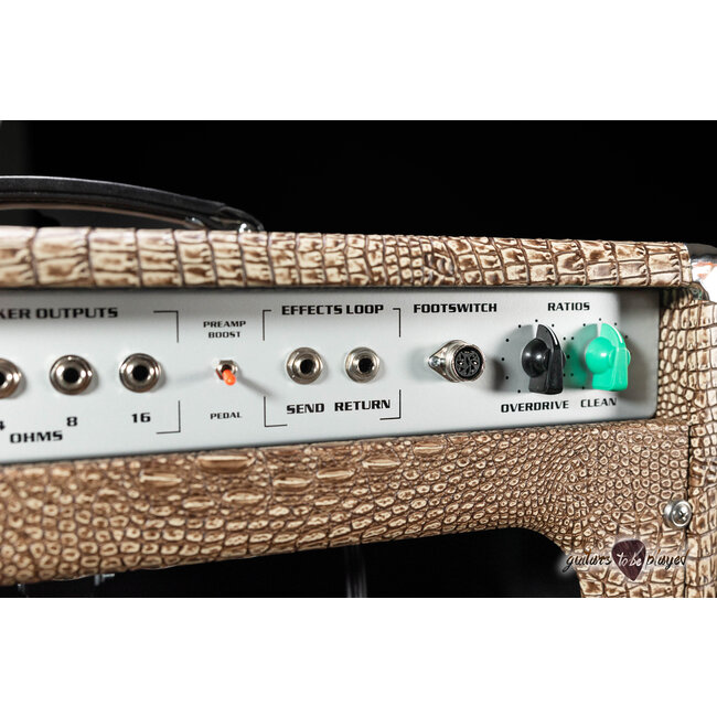 Amplified Nation Phoenix Fury 50W Head & 112 Cab – Bronze Croc