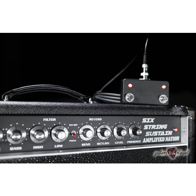 Amplified Nation Six String Sustain 50W Head – Black Lacquered Tweed