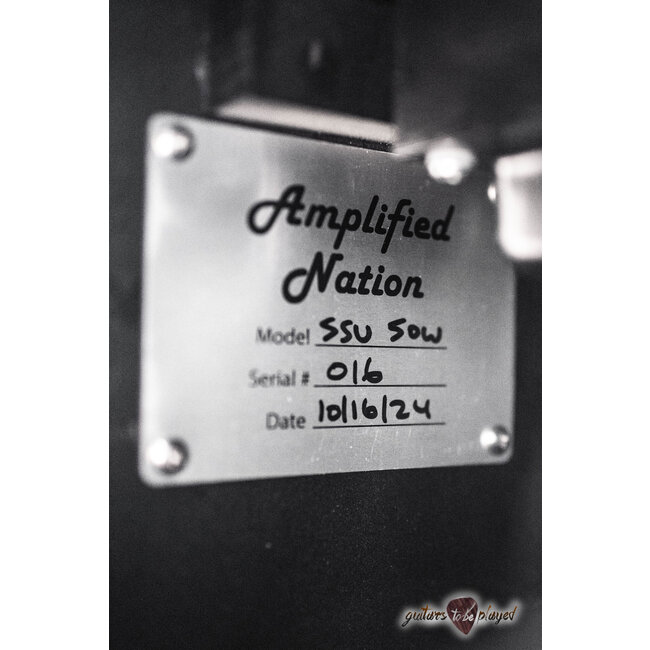 Amplified Nation Six String Sustain 50W Head – Black Lacquered Tweed