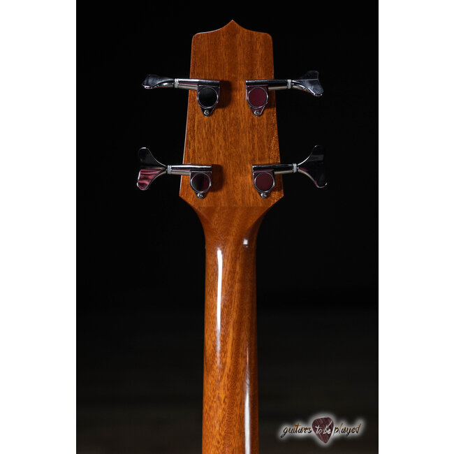 Takamine GB30CE Acoustic/Electric Bass Guitar – Natural