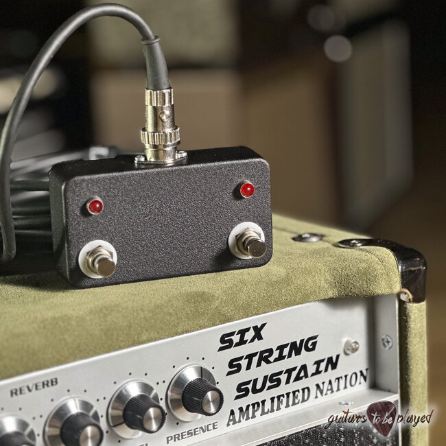 Amplified Nation Six String Sustain 50W Combo w/ Celestion G12-65 – Moss Suede