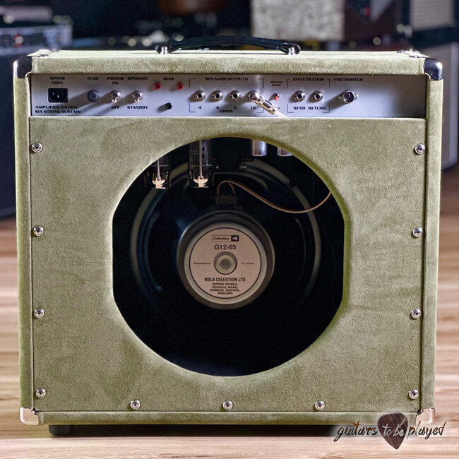 Amplified Nation Six String Sustain 50W 112 Combo w/ Celestion G12-65 – Moss Suede