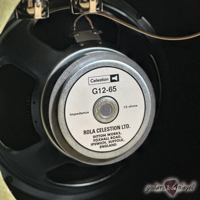 Amplified Nation Six String Sustain 50W Combo w/ Celestion G12-65 – Moss Suede