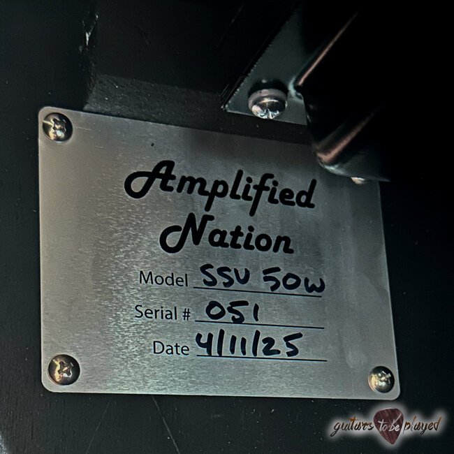 Amplified Nation Six String Sustain 50W Combo w/ Celestion G12-65 – Moss Suede