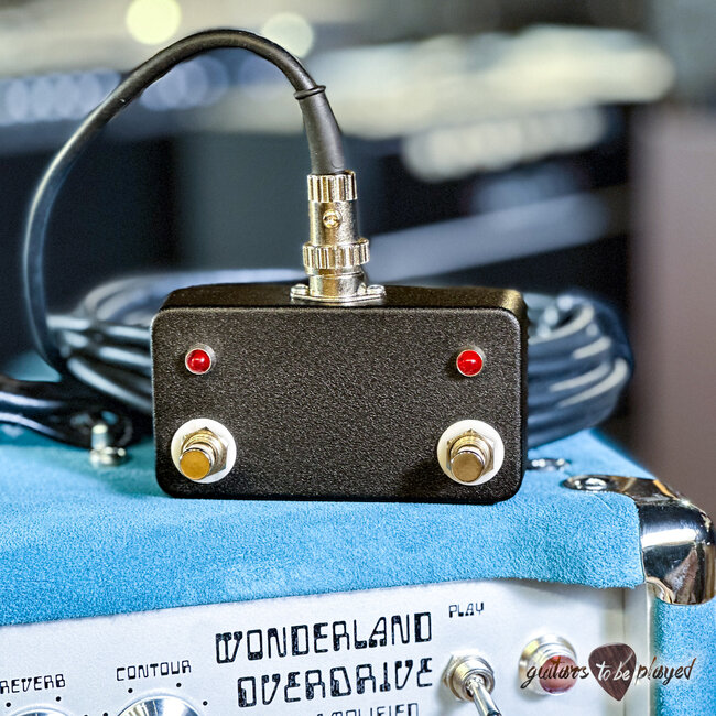 Amplified Nation Wonderland Overdrive V2 Tube-Rect 50W Combo – Medium Blue Suede