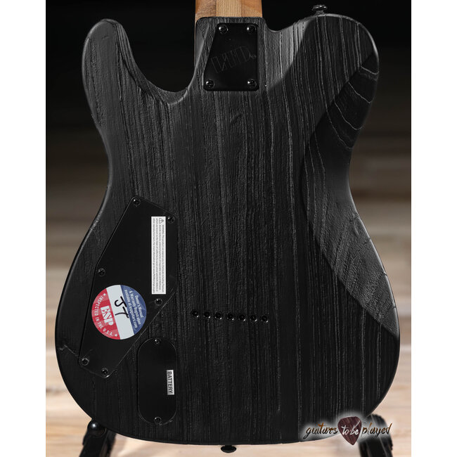 ESP LTD TE-1007 Baritone Swamp Ash Guitar – Black Blast