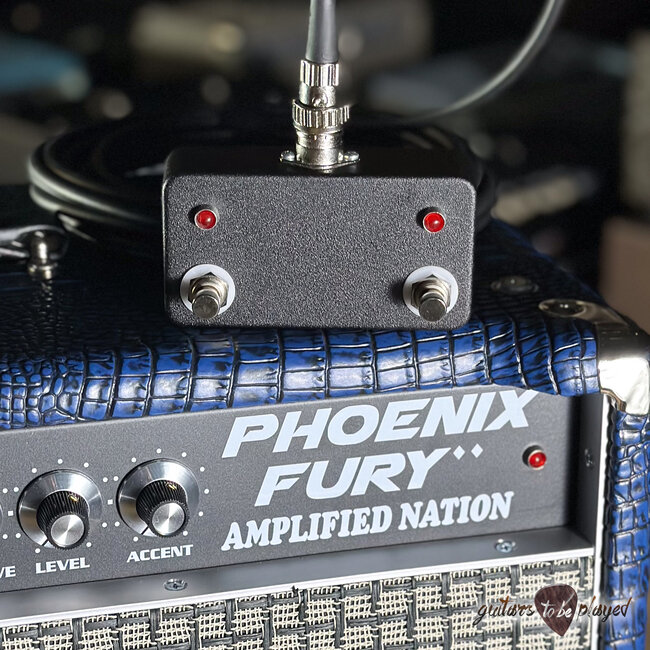 Amplified Nation Phoenix Fury 50W Head & 212 Cab – Blue Croc