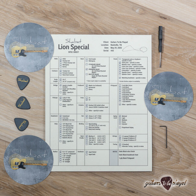 Shabat Lion Special Swamp Ash T-Style w/ Maple Neck & Lollar P-90s – Satin Black