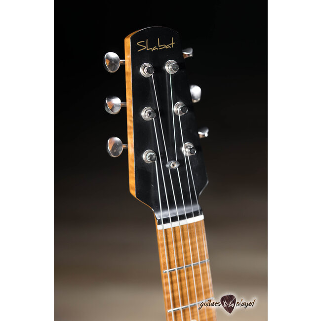 Shabat Lion Special Swamp Ash T-Style w/ Maple Neck & Lollar P-90s – Satin Black