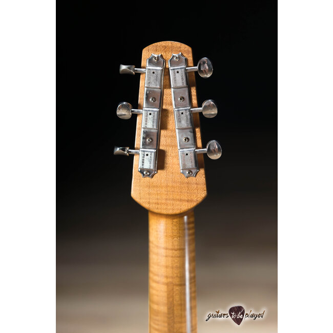 Shabat Lion Special Swamp Ash T-Style w/ Maple Neck & Lollar P-90s – Satin Black