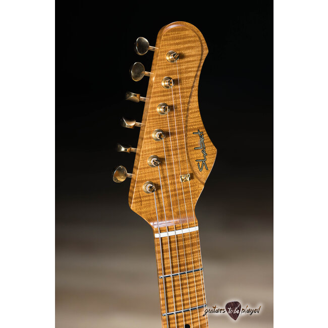 Shabat Lion Standard Swamp Ash T-Style w/ Humbucker & Maple Neck – Black