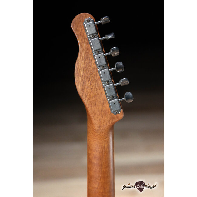 Xotic XTC-1 Custom Mahogany Humbucker T-Style w/ Ebony Fretboard – Dog Hair