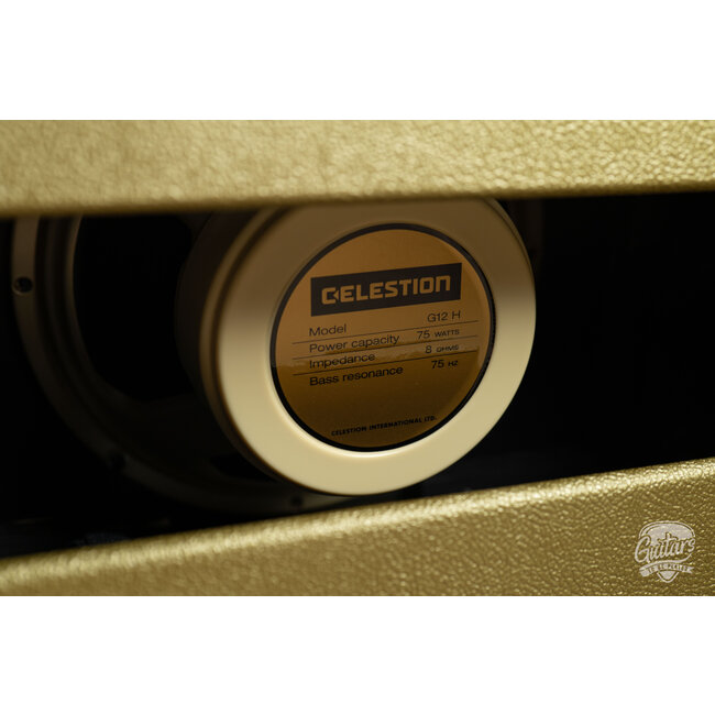 Revv Amps D25 Joey Landreth Edition 1x12 25/5W Combo w/ Footswitch – Gold