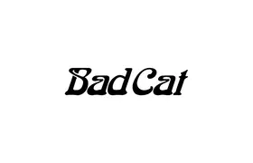 Bad Cat