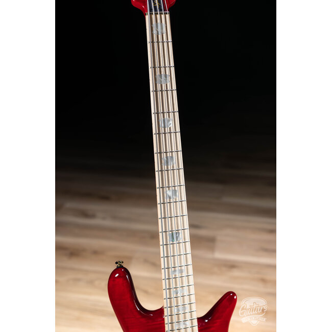 Spector Euro 5 LX Maple Fingberboard 5-String Bass – Black Cherry Gloss