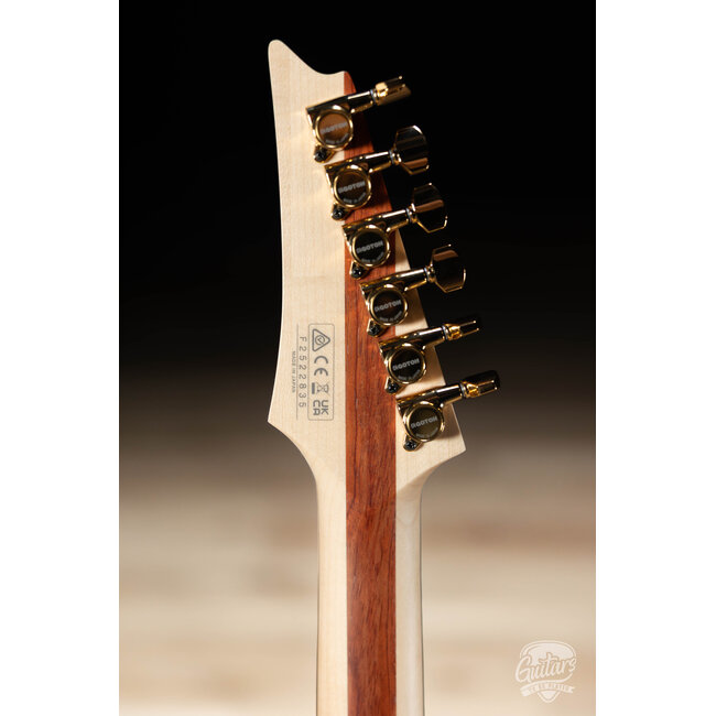 Ibanez JS1GD Joe Satriani Signature Guitar w/ Case – Gold Boy