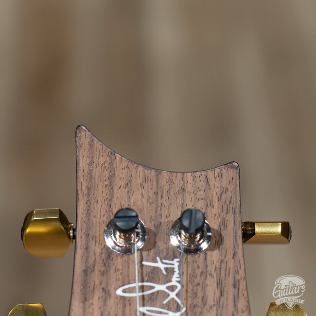 2024 PRS Mark Tremonti Signature 10-Top Guitar w/ Tremolo – Charcoal Burst