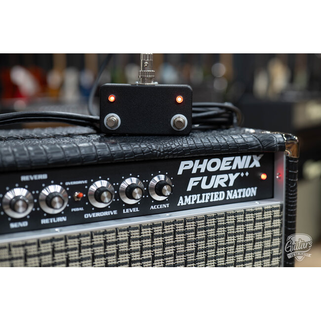 Amplified Nation Phoenix Fury 50W Head & 112 Cab – Black Croc