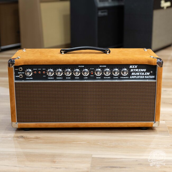 Amplified Nation Six String Sustain 50W Head – Golden Brown Suede