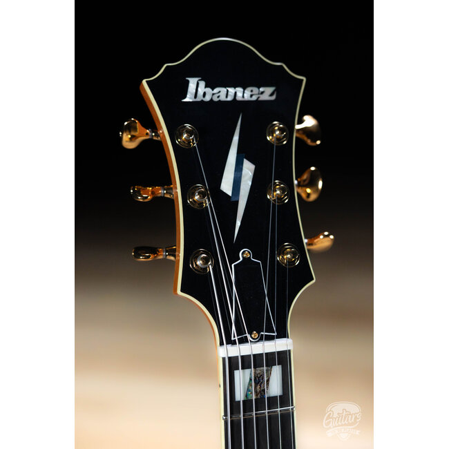 Ibanez PM200 Pat Metheny Signature Hollowbody Guitar w/Case - Natural