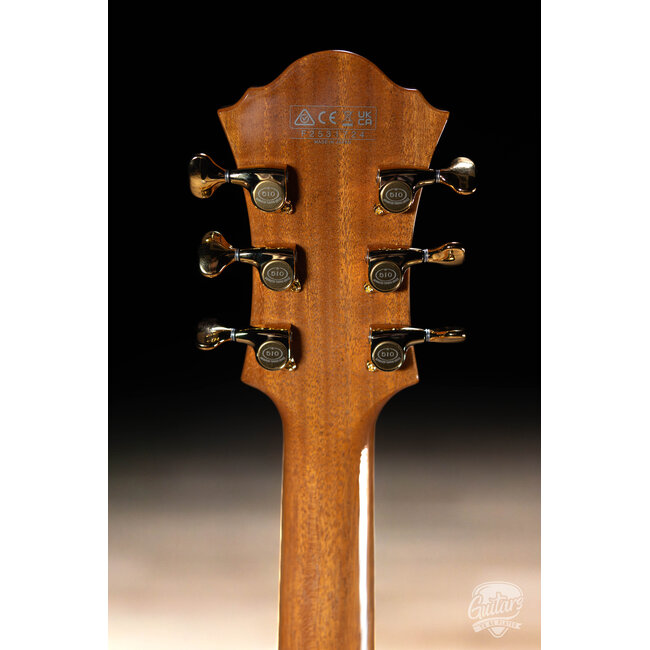 Ibanez PM200 Pat Metheny Signature Hollowbody Guitar w/Case - Natural