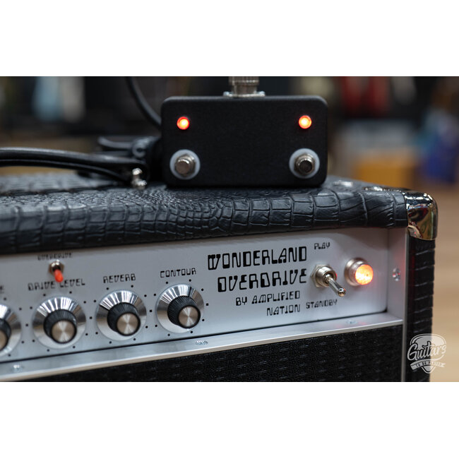 Amplified Nation Wonderland Overdrive V2 Tube-Rectified 50W Combo – Black Croc