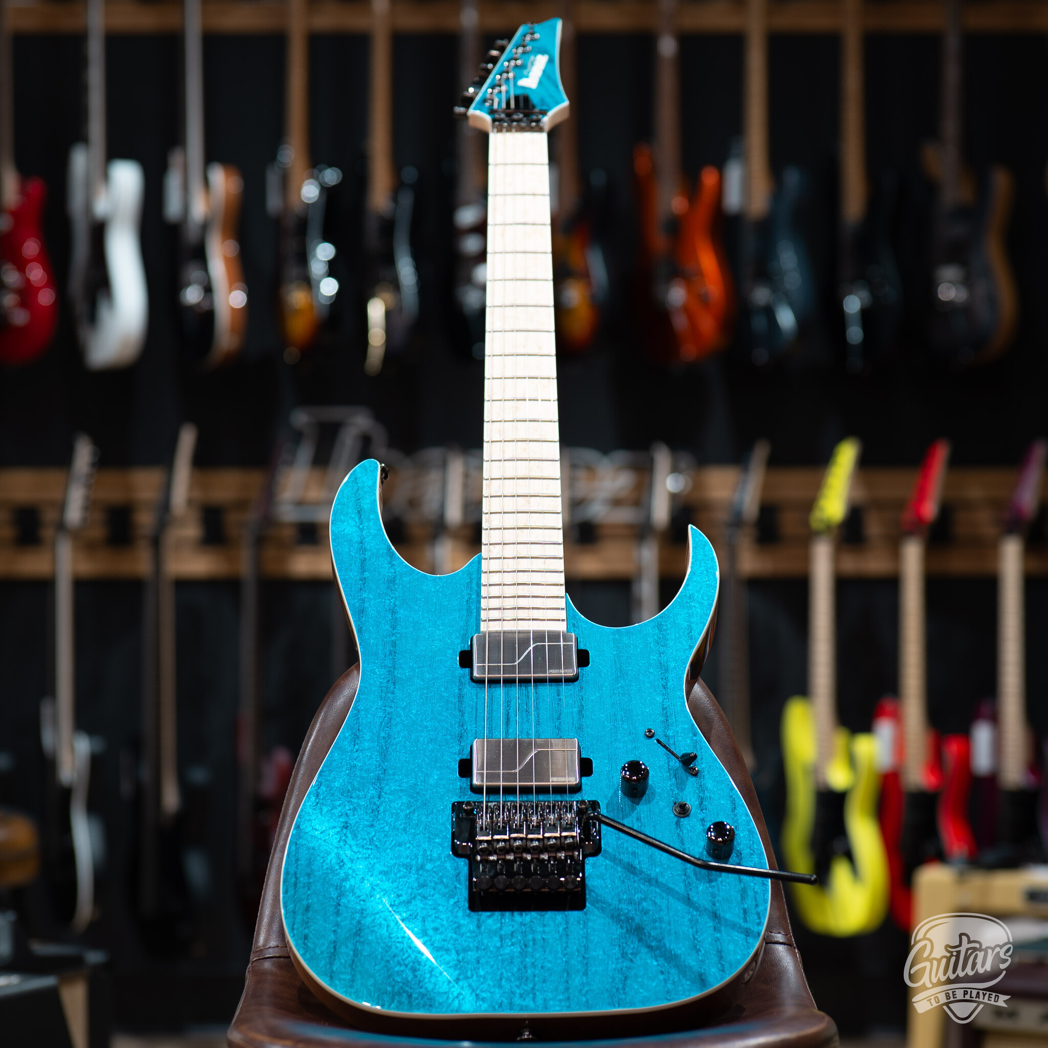 2024 Ibanez RG5120M Prestige HH Fishman Guitar w/ Case – Frozen
