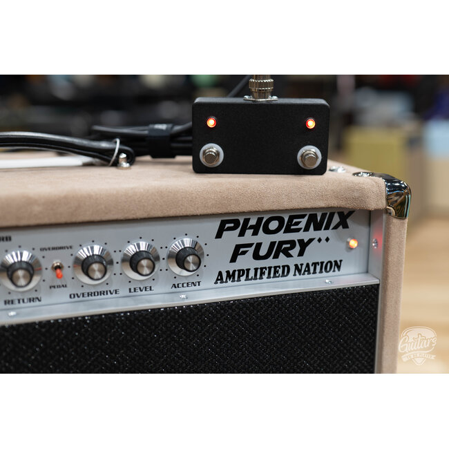 Amplified Nation Phoenix Fury 50W 112 Combo w/ Celestion G12-65 – Dogwood Suede