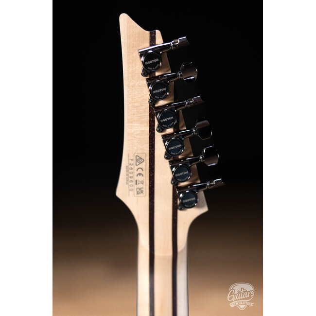 Ibanez RG5120M Prestige HH Fishman Fluence Guitar w/ Case – Polar Lights