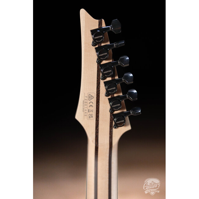 Ibanez RG5121RET Prestige Evertune Guitar w/Case - Polar Lights Flat