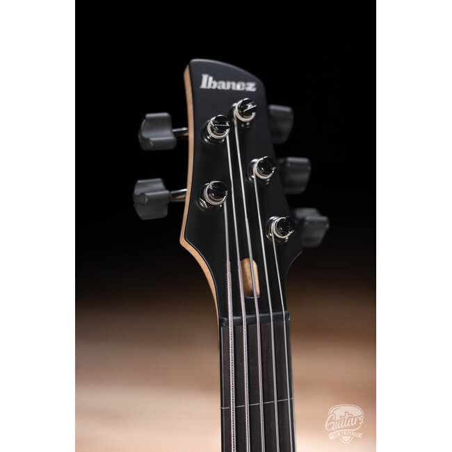 Ibanez GWB1005NTF Gary Willis Signature Fretless 5-String – Flat Natural