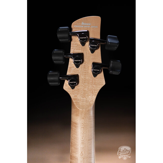 Ibanez GWB1005NTF Gary Willis Signature Fretless 5-String – Flat Natural