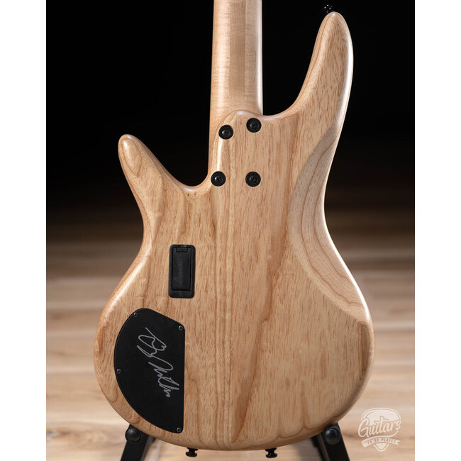 Ibanez GWB1005NTF Gary Willis Signature Fretless 5-String – Flat Natural