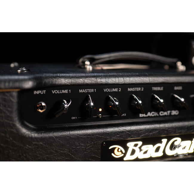 Bad Cat Mod Shop Black Cat 1x12 30W 2-Channel Tube Combo Amp