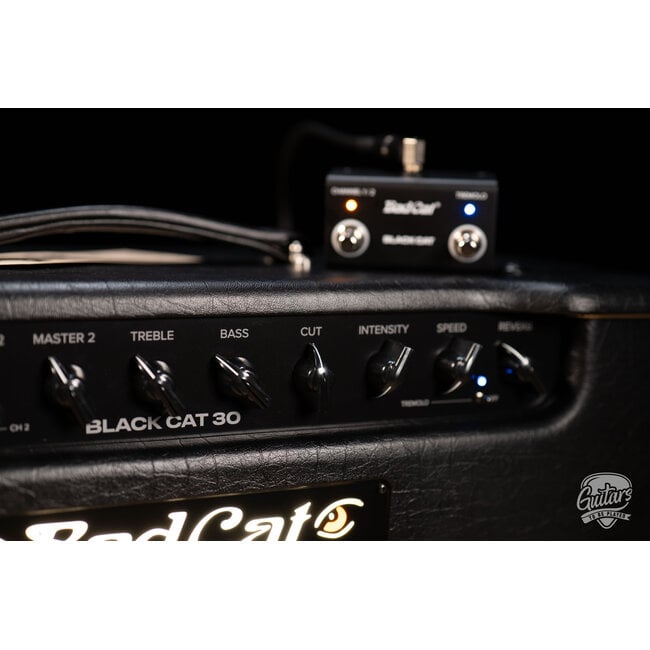 Bad Cat Mod Shop Black Cat 1x12 30W 2-Channel Tube Combo Amp