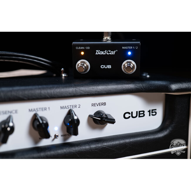 Bad Cat Mod Shop Cub 15 15W Tube Amp Head