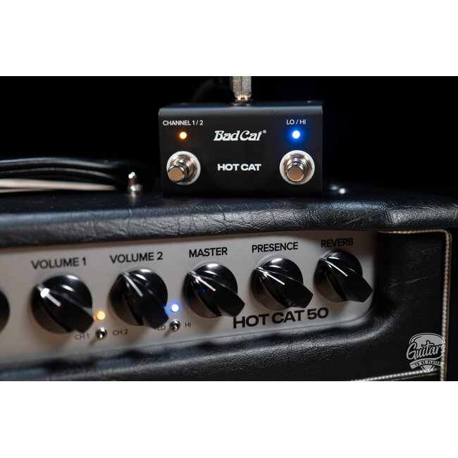 Bad Cat Mod Shop Hot Cat 50W 2-Channel Tube Amp Head