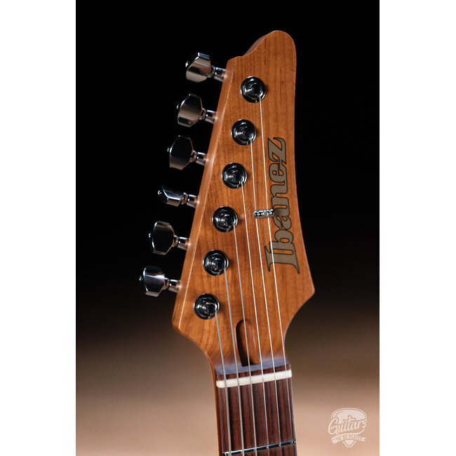 Ibanez MMN1 Martin Miller Signature Guitar w/ Case – Transparent Aqua Blue
