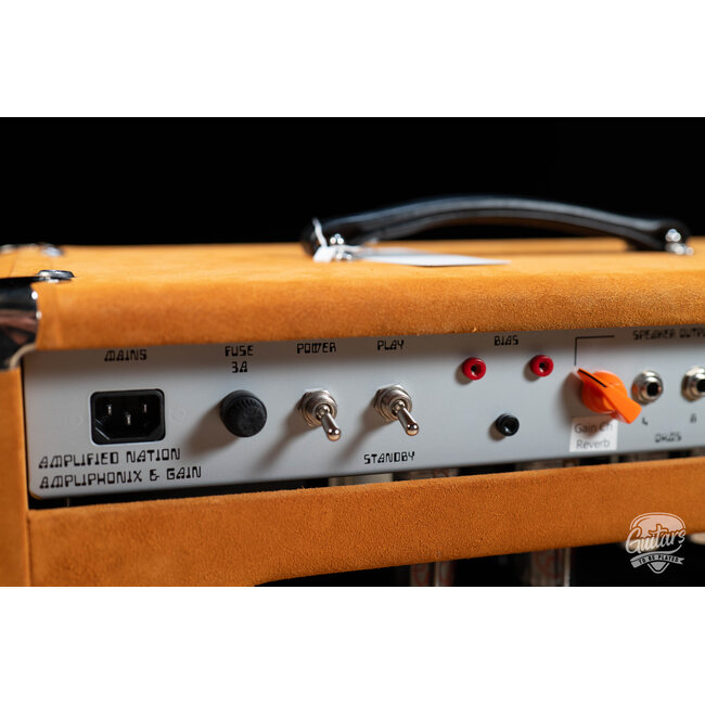 Amplified Nation Ampliphonix & Gain 50W Head w/ Independent Reverbs—Golden Brown