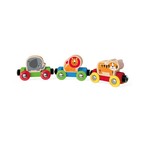 Hape Jungle Journey Train