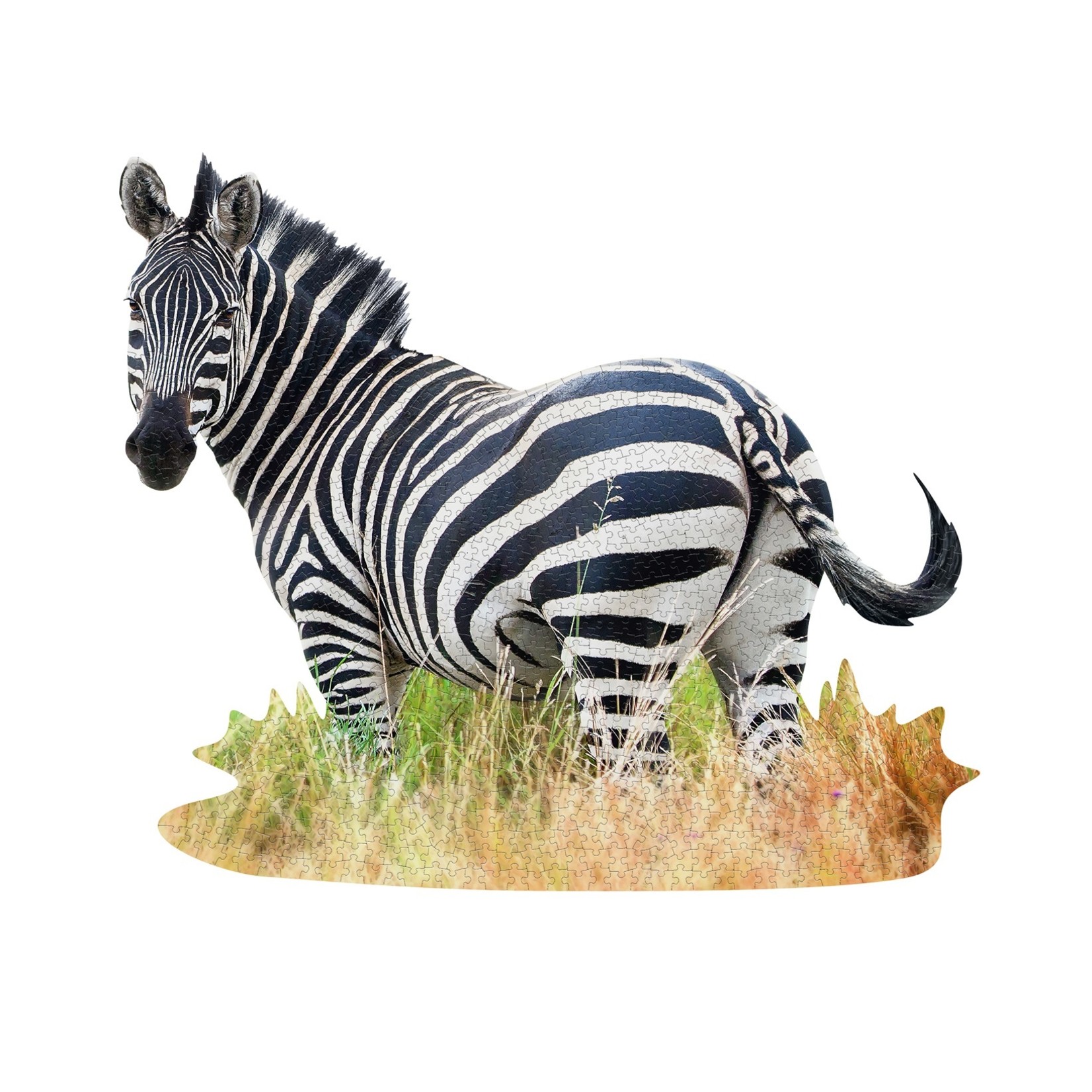 Madd Capp PZ1000 - I am Zebra