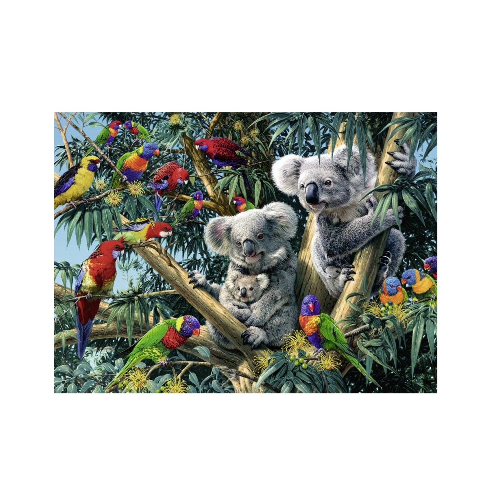 Ravensburger PZ500 - Koalas dans l'arbre