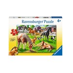 Ravensburger PZ60 - Le centre équestre