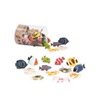 Terra Terra - Poissons tropicaux en tube