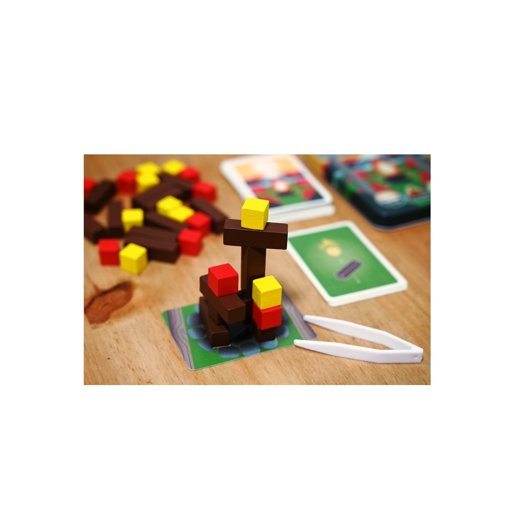 Matagot Feu de camps  FR