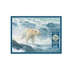 Cobble Hill PZ500 - Salmon Watch - Spirit Bear