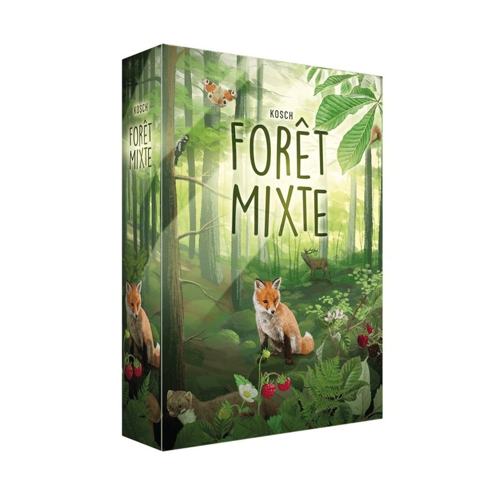 Forêt Mixte FR
