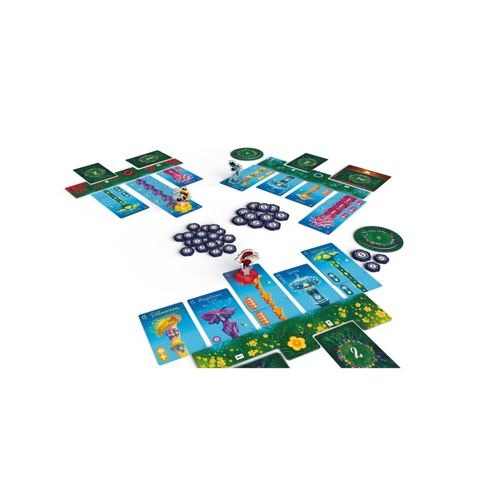 Space Cowboys Fairy Ring FR (Vente Finale)