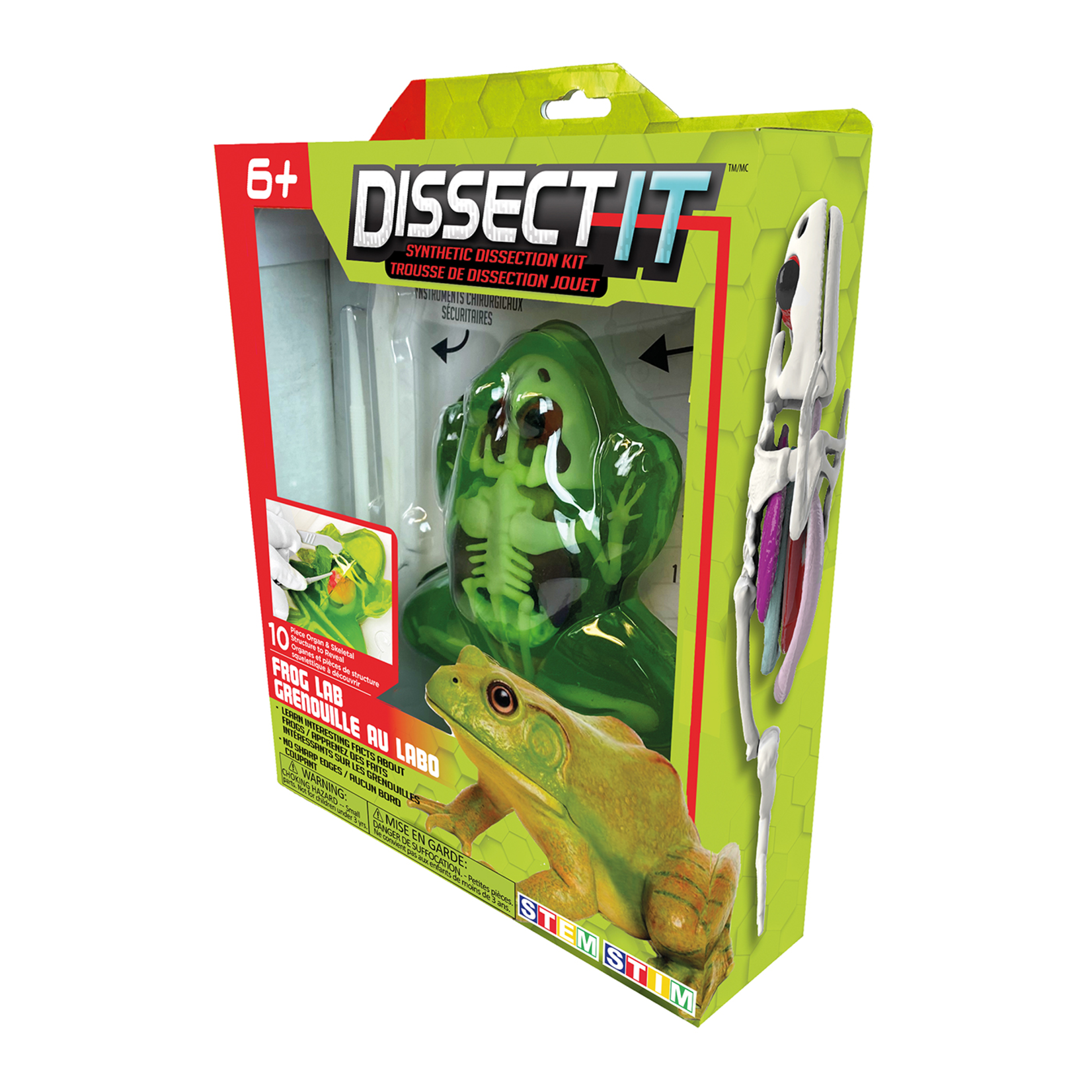 Dissect It - Grenouille au labo